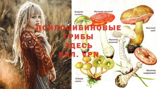 бутик Богданович
