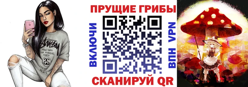 Псилоцибиновые грибы мицелий  Эртиль 